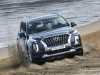 2019 AWAK Car of the Year - Hyundai Palisade