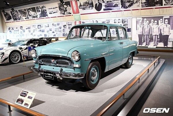 토요펫 크라운 모델 RS.